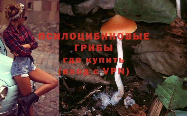 винт Верхний Тагил