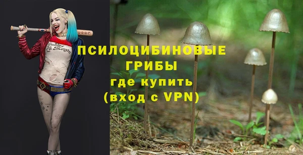 твердый Верея