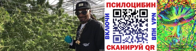 Псилоцибиновые грибы прущие грибы Мурманск
